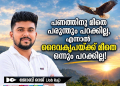 പണത്തിനു മീതെ പരുന്തും പറക്കില്ല, എന്നാൽ ദൈവകൃപയ്ക്ക് മീതെ ഒന്നും പറക്കില്ല!